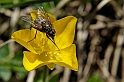 _DSC0572-0