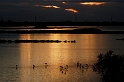 _DSC0198f