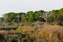 20091031-165940_02