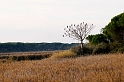 20091031-170135