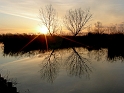 DSCN4149