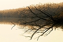 _NIK0494