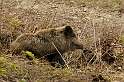 20090404-092557_02-1