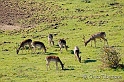 20091107-105920-1