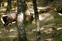 _DSC3903-f