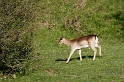 _DSC5600-0