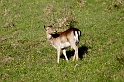 _DSC5706
