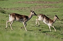 _DSC5798-0