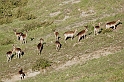 _DSC5802-1