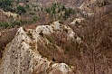 DSC_1737-1