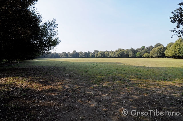 20090509-075014-f.jpg - Parco della Duchessa [ a, FF, none ]