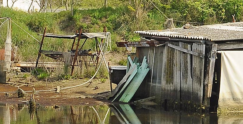 15.jpg - In questo report, ho affrontato solo l'inquinamento ambientale in senso stretto, tralasciando le questioni di abuso edilizio e caccia.....