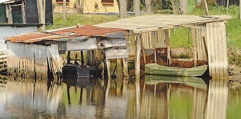 16.jpg - E' davvero SCANDALOSO che questa zona cosi bella ed interessante a livello naturalistico, che si trova a stretto contatto con zone entrate a far parte del Parco del Delta del Po, non ne faccia parte....