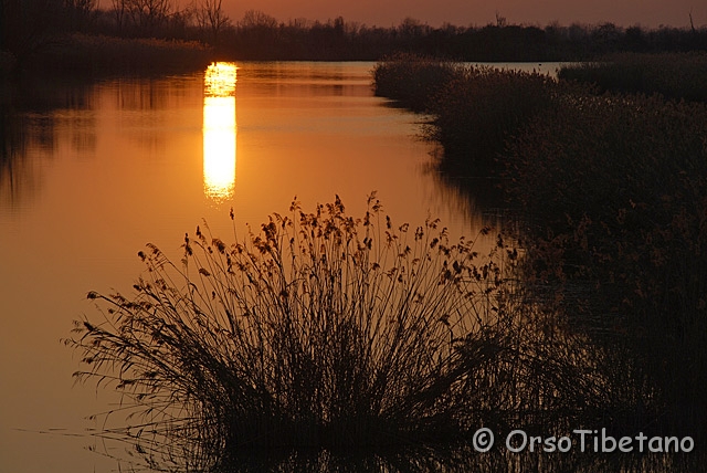 DSC_1460.jpg - Tramonto nell'Oasi di Campotto  [a, FF, none]