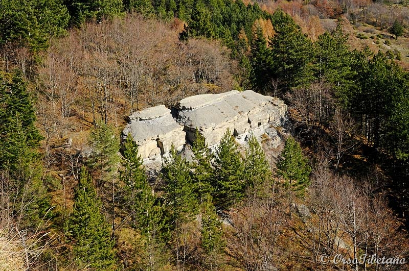 20111127-124101.jpg - Un "piccolo" sasso...  -  A "small" rock...