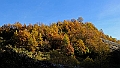 20111127-095502