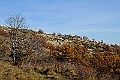 20111127-115046