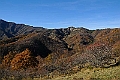 20111127-115535