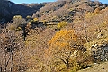 20111127-141215