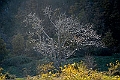 20111127-142811