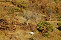 20111127-152523_01