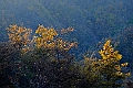 20111127-152818