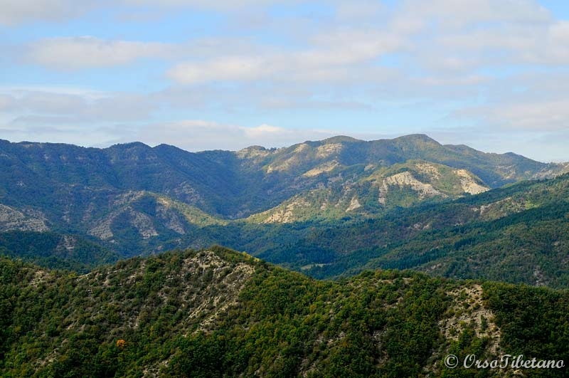 20111016-100958.jpg - Panorama.  -  Overview.