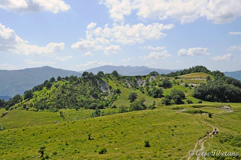 20110619-150217.jpg - Sulla strada del ritorno.  -  On the way back.