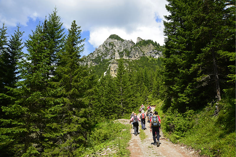 08-06-14-111130.jpg - 1° giorno - Monte Zovo e ritorno per lo stesso sentiero