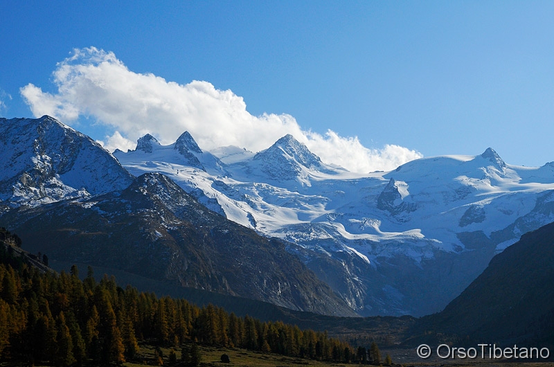 Alpi_Svizzere.jpg - Alpi svizzere: vista del massiccio Bernina con le sue cime Piz Bernina, Piz Roseg e Piz Scerscen - Swiss Alps: Bernina massif view with its peaks Piz Bernina, Piz Roseg and Piz Scerscen