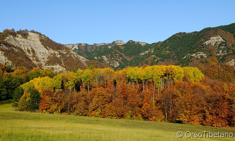 Autunno_in_Appennino.jpg - Autunno in Appennino - Autumn in the Apennines